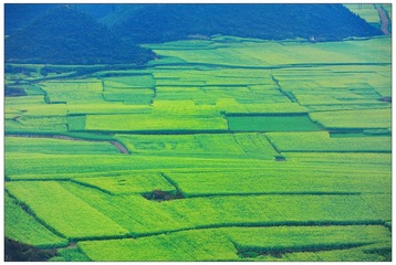 DSC_7214-NX2.jpg