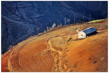 DSC_7341-NX2.jpg