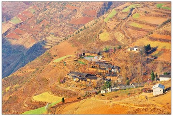 DSC_7350-NX2.jpg