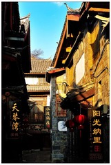 DSC_7909-NX2.jpg