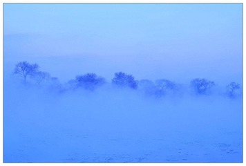 DSC_4973.jpg