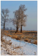 DSC_5276.jpg