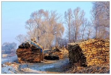 DSC_5321.jpg