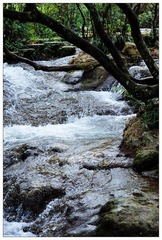 DSC_0055.jpg