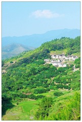 DSC_1438－NX2.jpg