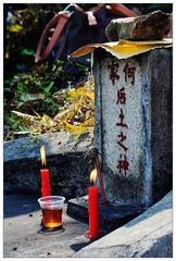 DSC_1700-NX2.jpg