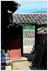 DSC_1731-NX2.jpg