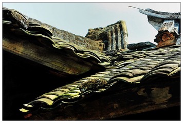 DSC_1537-NX2.jpg