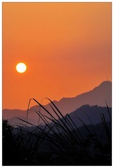 DSC_1891-NX2.jpg