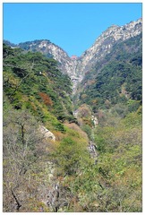 DSC_2302-NX2.jpg
