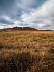DSC_0397.jpg