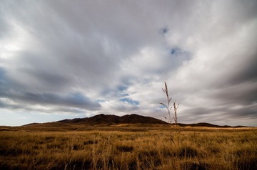DSC_0396.jpg