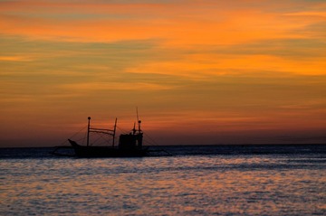 DSC_0282.JPG