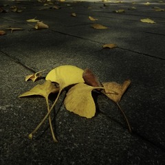 206B0BA4-8078-4A6E-A715-461A673B3F08/L0/001