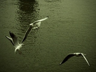 07FB1A0D-0DC0-43A1-A93D-A78F68CB6784/L0/001