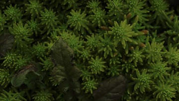 C355B034-7E6F-48F2-8898-CEA25B8F3892/L0/001
