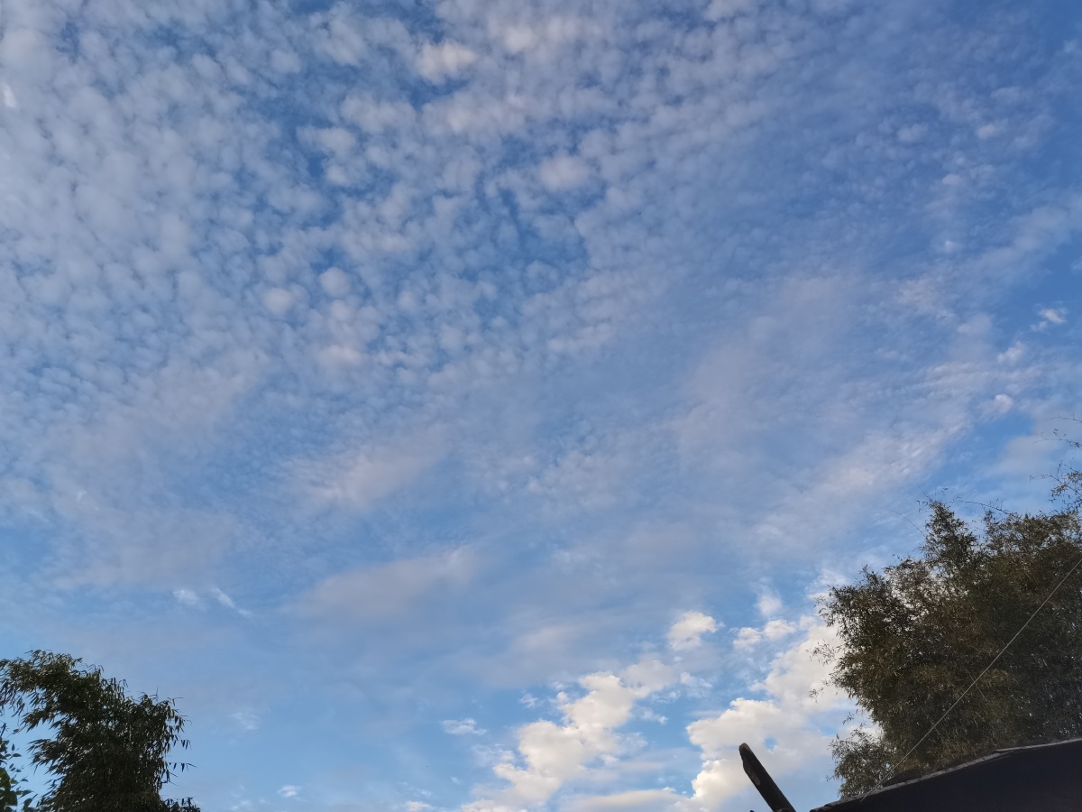 一个人静静的注视着天空在那遥远的天际里在那洁白的云端67