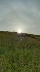 1000086923