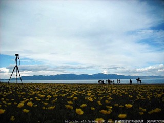照片 319.jpg
