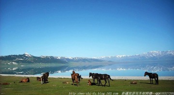 照片 374.jpg