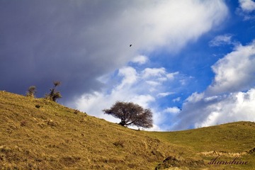 _MG_6348.jpg
