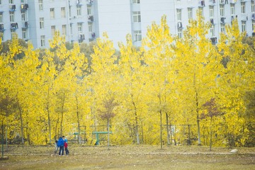 _MG_6814.jpg