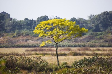 _MG_7047.jpg