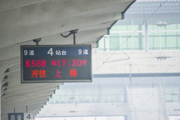 _MG_3346.jpg