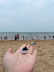 0A2B7097-24D7-4D3B-9360-0C7481F0E0BC/L0/001