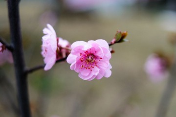 DSC_3649.jpg