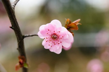 DSC_3651.jpg
