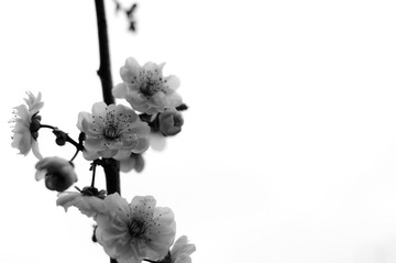 DSC_3656-2.jpg