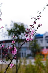 DSC_3671.jpg