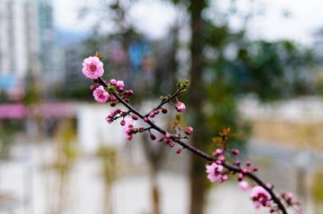 DSC_3673.jpg