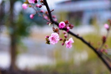 DSC_3674.jpg
