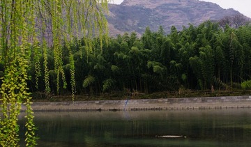 DSC_3796.jpg