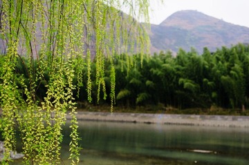 DSC_3807.jpg
