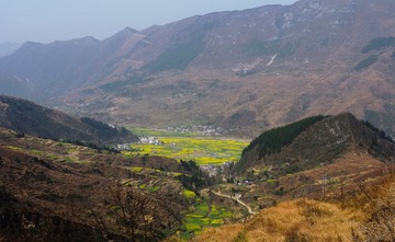 DSC_3917.jpg
