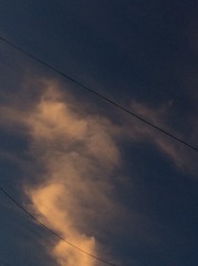 40179835-E3A1-4F49-B144-FA0957750460/L0/001