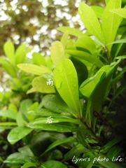 SDC10015xxz.jpg