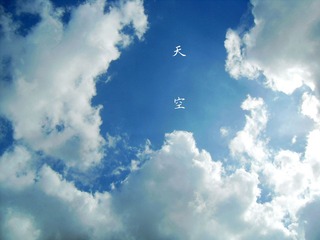 SDC1000.jpg