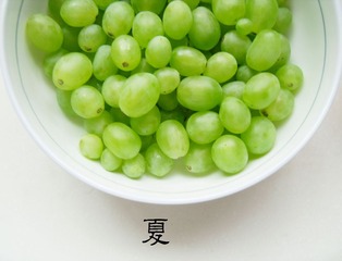 SDC125541.jpg