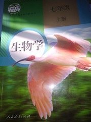 906977