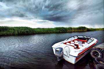 222IMG_8017.jpg