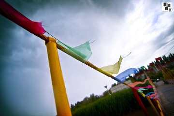 IMG_8045.jpg