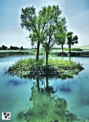 111IMG_8199.jpg