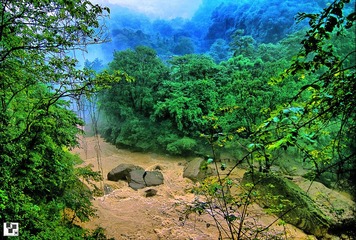 IMG_9795.jpg