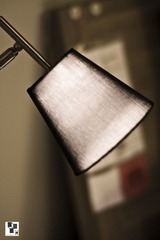 IMG_9990.jpg