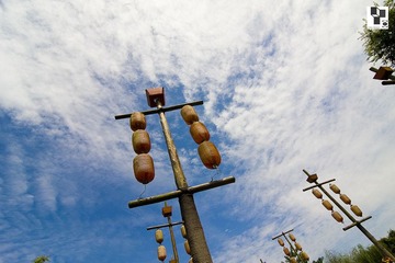 IMG_0730.jpg