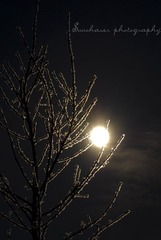 DSC_2677.jpg